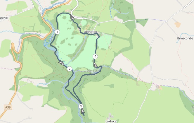 Starlight Arlington run route